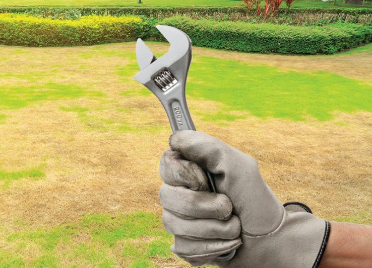 How to Help Your Lawn After Grub Damage